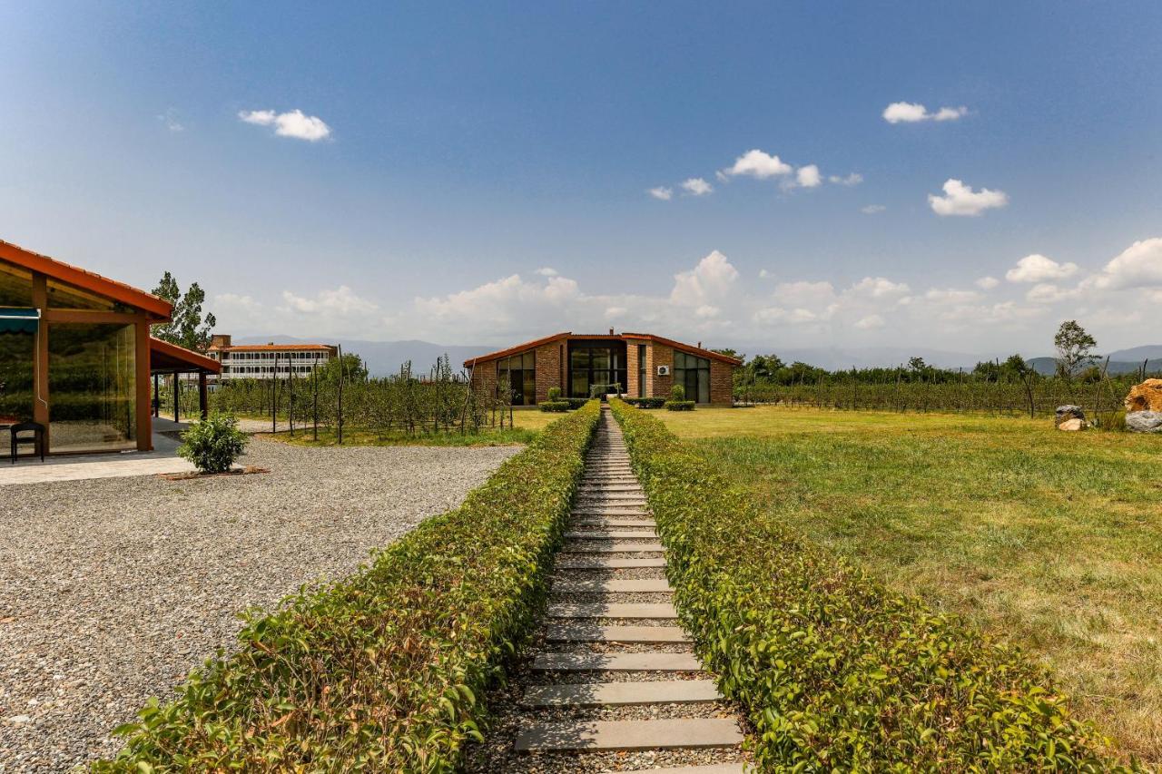 Chateau Artwine Art'ana Kültér fotó