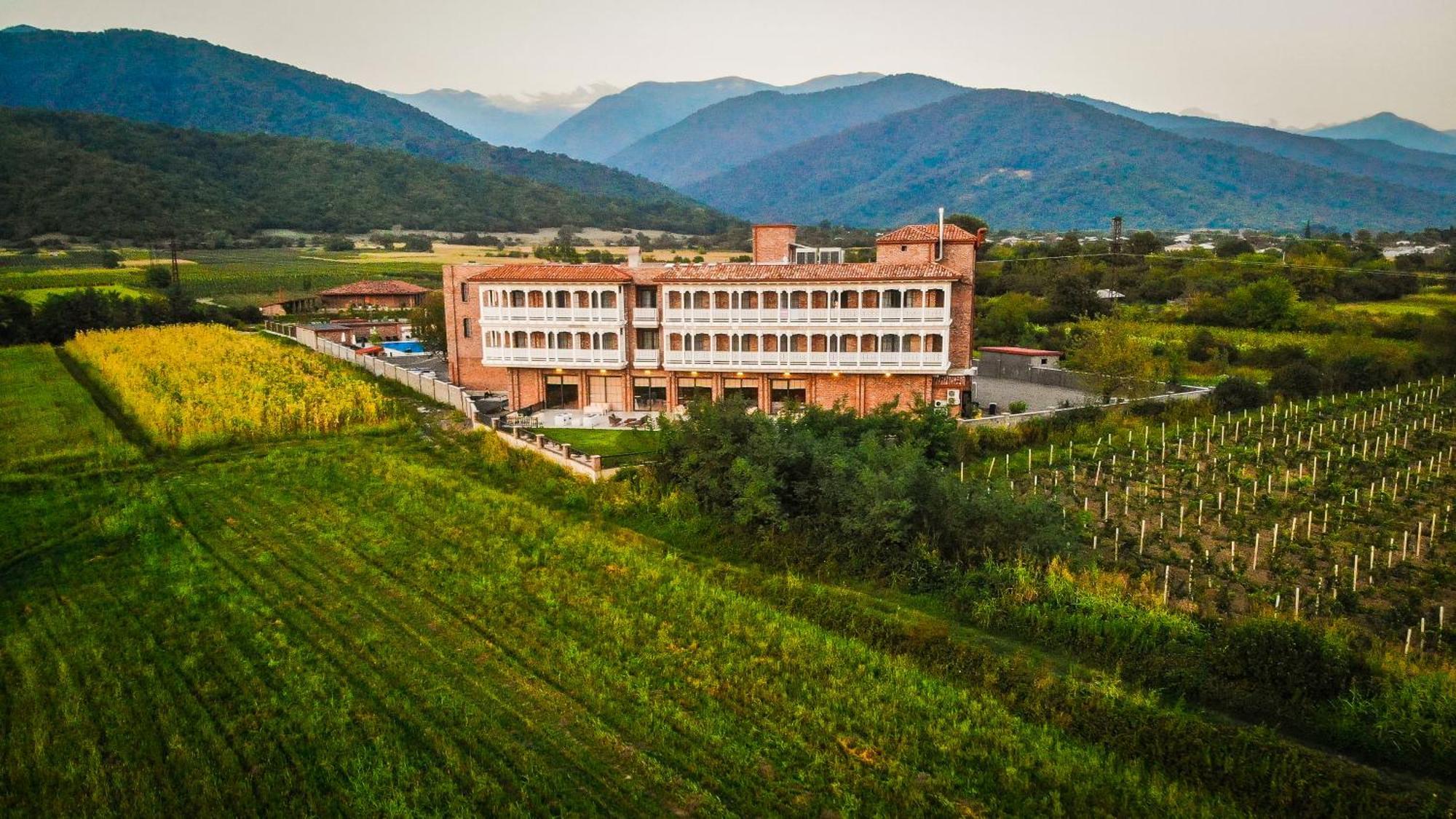 Chateau Artwine Art'ana Kültér fotó